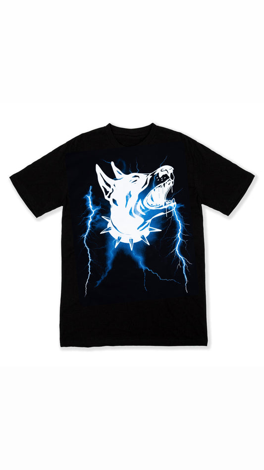 doberman lightning