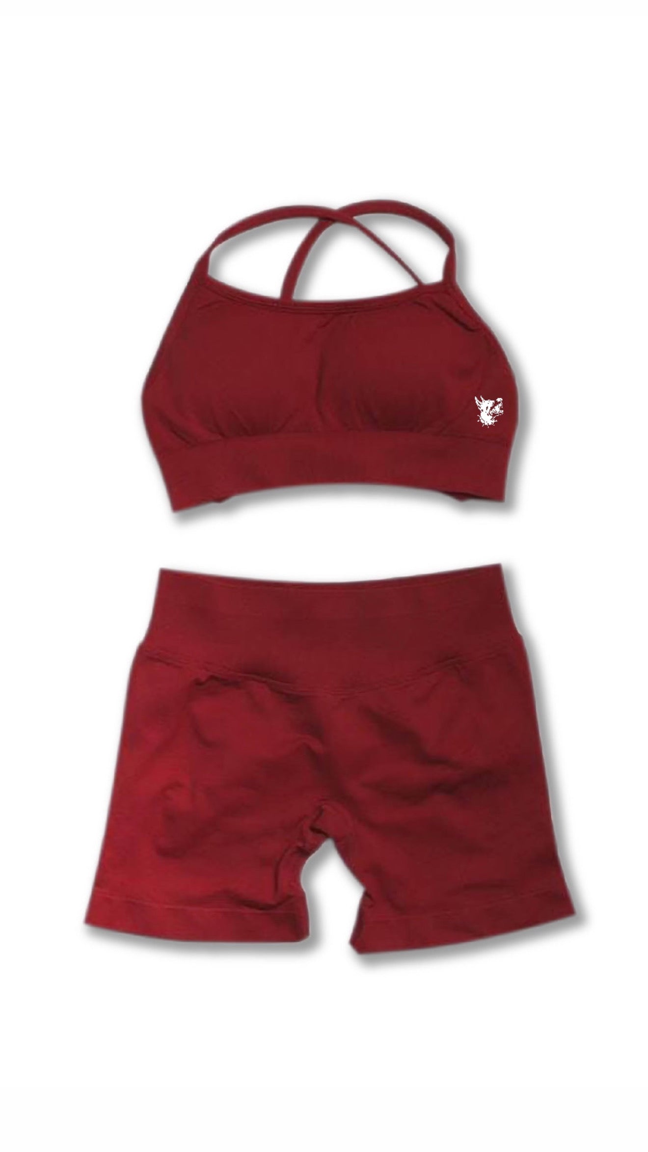 spandex shorts/bra set
