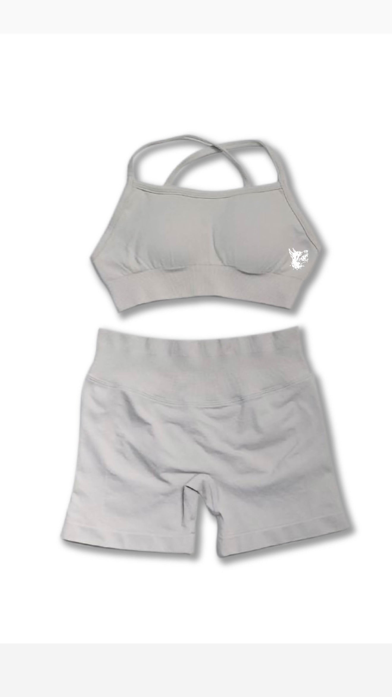 spandex shorts/bra set